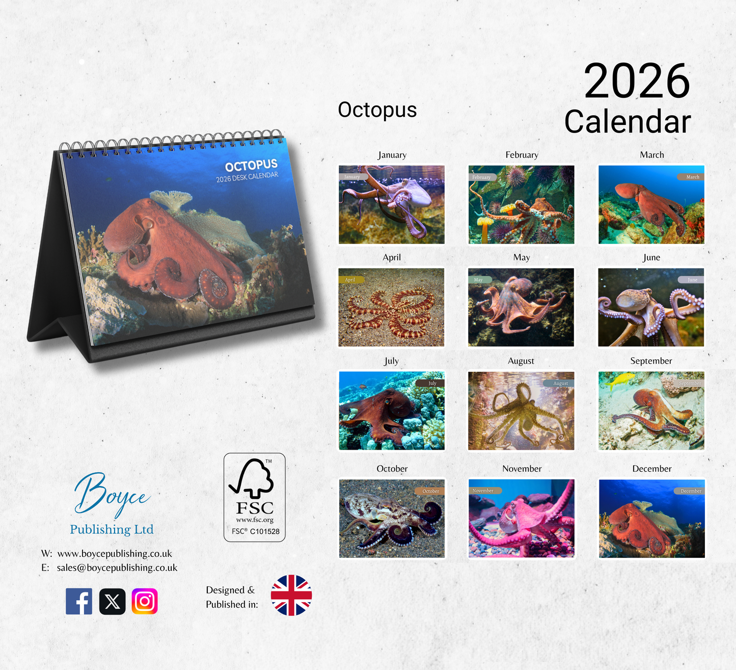 Octopus Desk Calendar 2026-2027