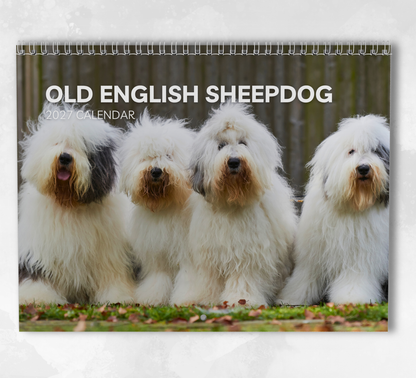 Old English Sheepdog Calendar 2027