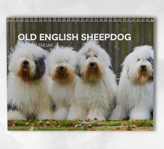Old English Sheepdog Calendar 2027
