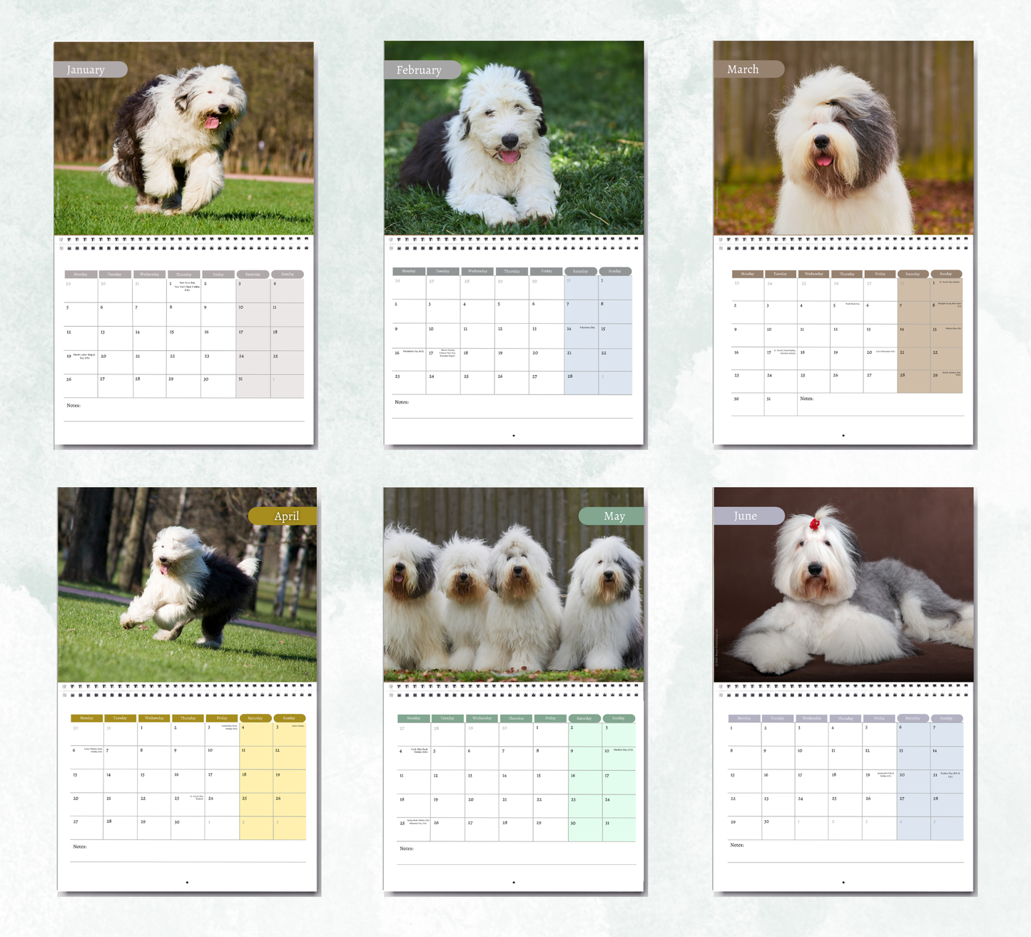 Old English Sheepdog Calendar 2027