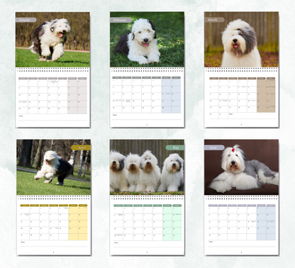 Old English Sheepdog Calendar 2027