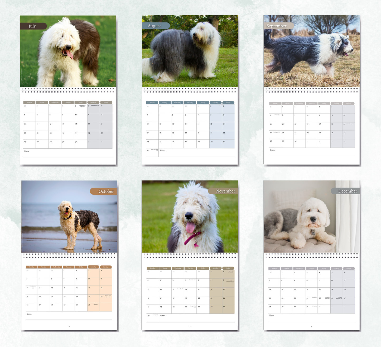 Old English Sheepdog Calendar 2027