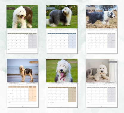 Old English Sheepdog Calendar 2027