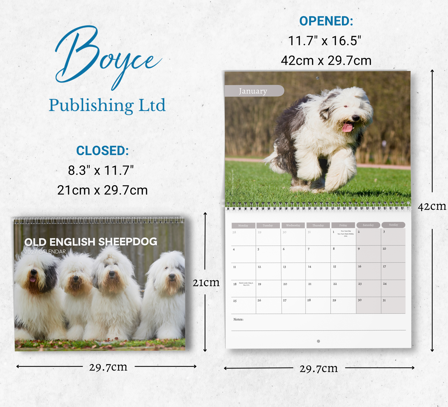 Old English Sheepdog Calendar 2027