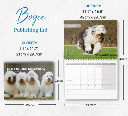 Old English Sheepdog Calendar 2027