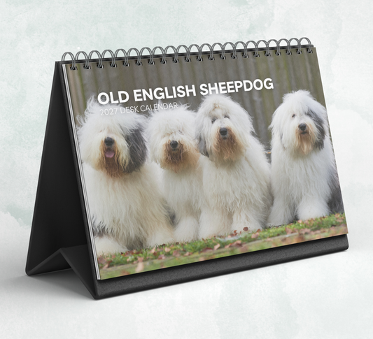 Old English Sheepdog Desk Calendar 2027-2028