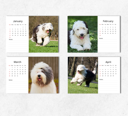 Old English Sheepdog Desk Calendar 2027-2028