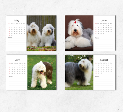 Old English Sheepdog Desk Calendar 2027-2028