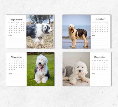 Old English Sheepdog Desk Calendar 2027-2028