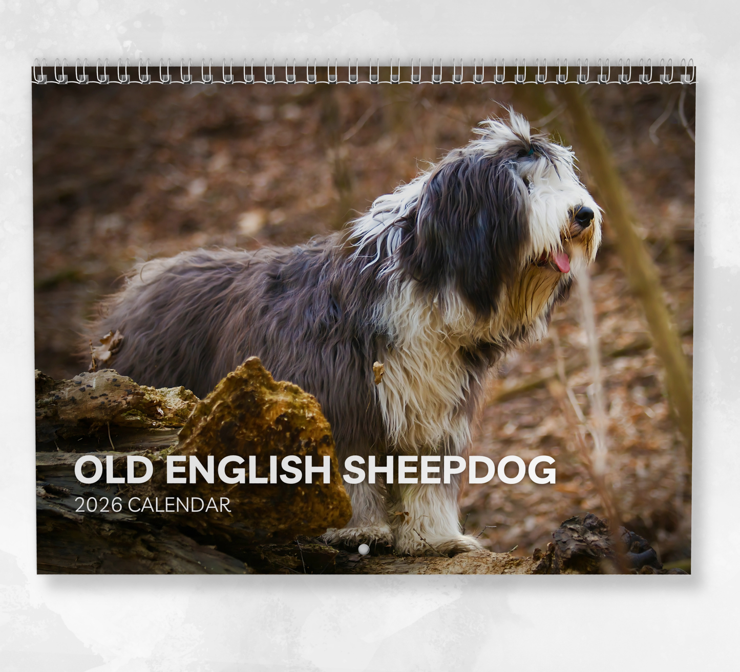 Old English Sheepdog Calendar 2026