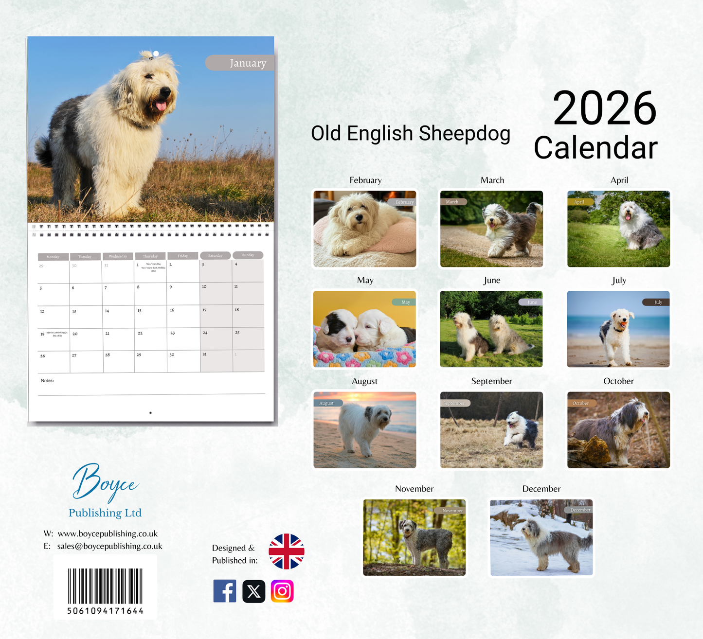 Old English Sheepdog Calendar 2026