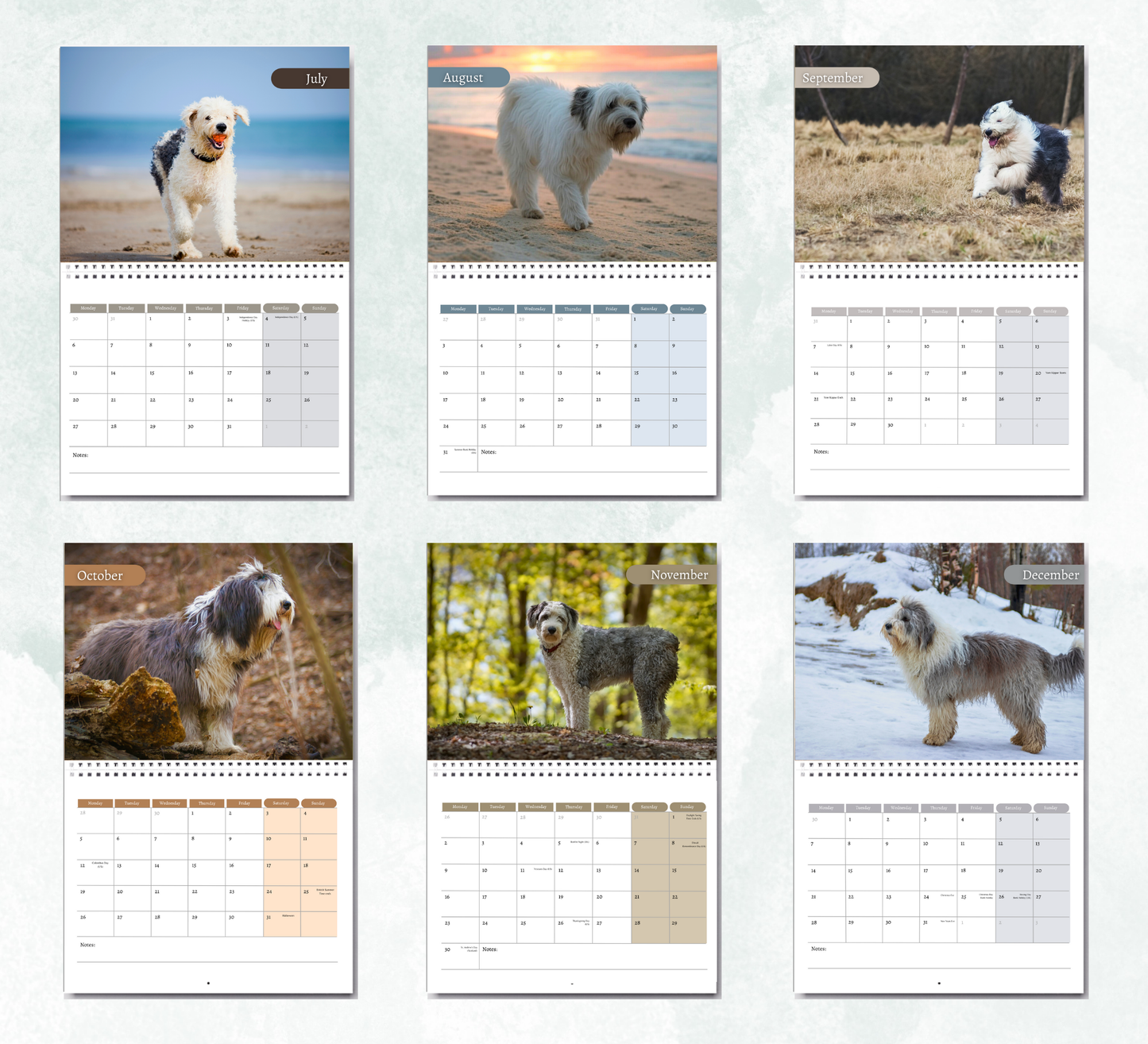 Old English Sheepdog Calendar 2026