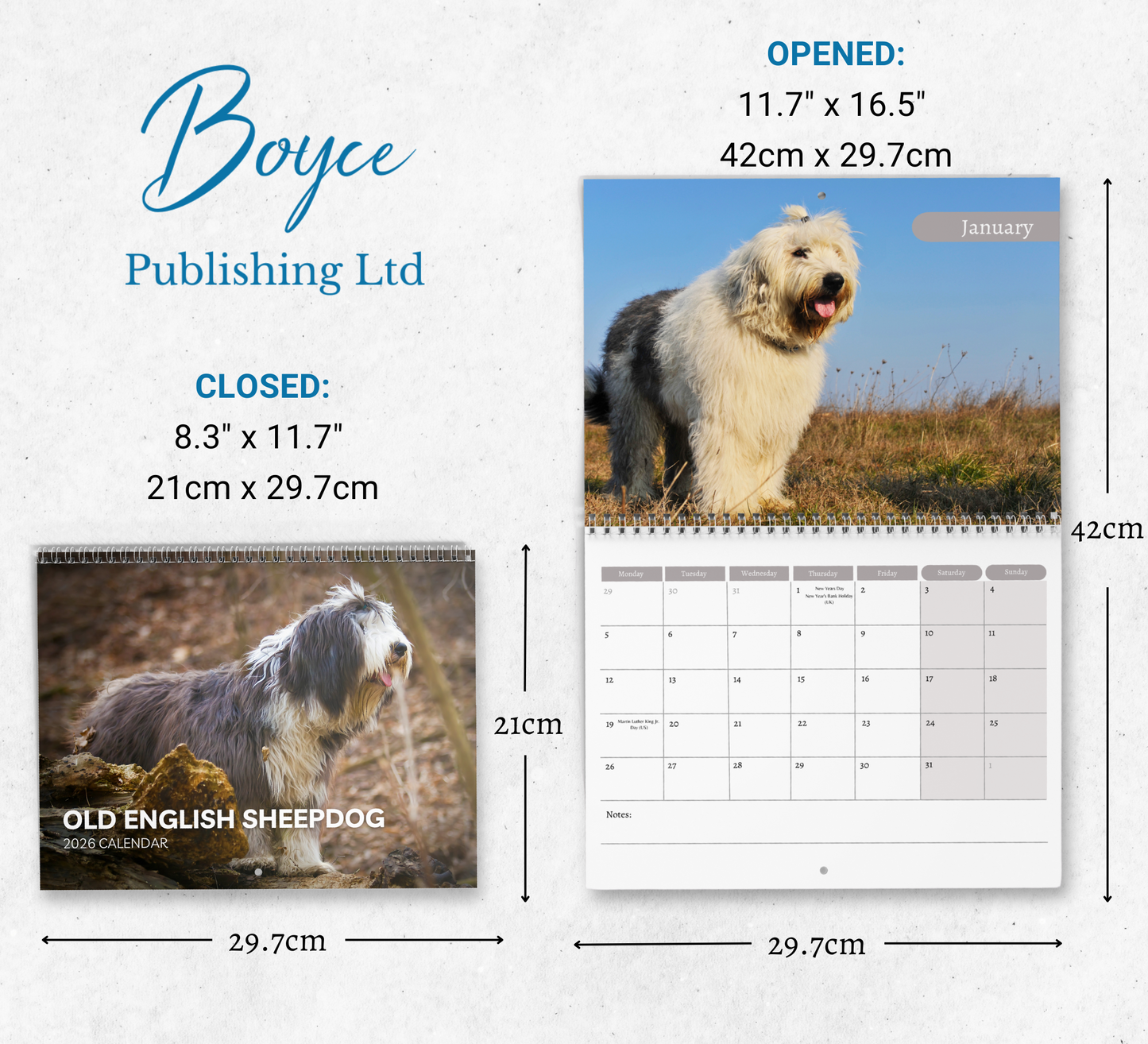 Old English Sheepdog Calendar 2026