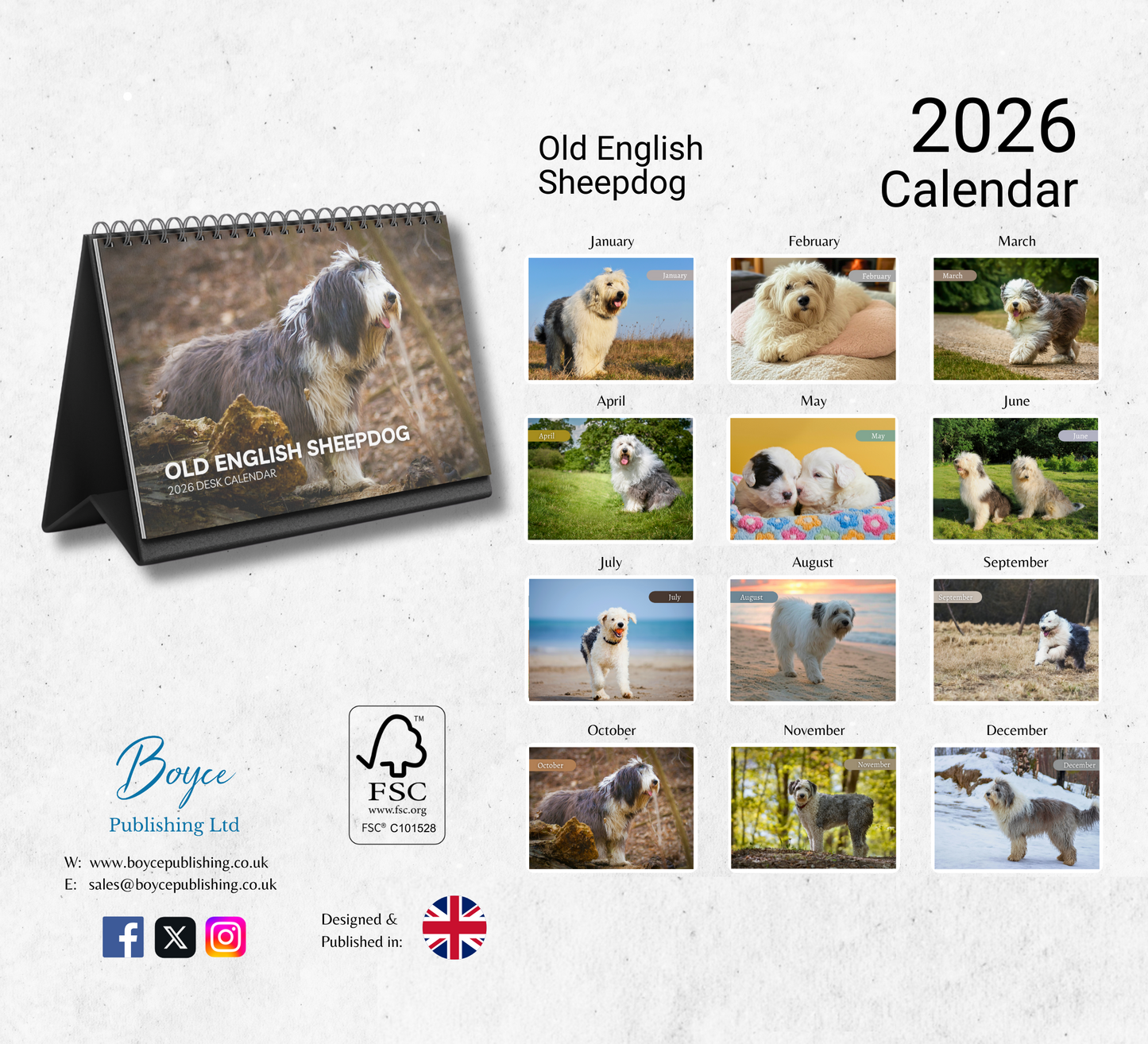 Old English Sheepdog Desk Calendar 2026-2027
