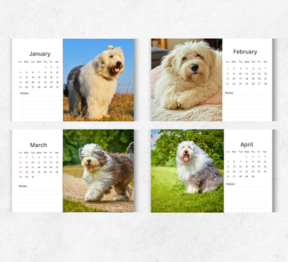 Old English Sheepdog Desk Calendar 2026-2027
