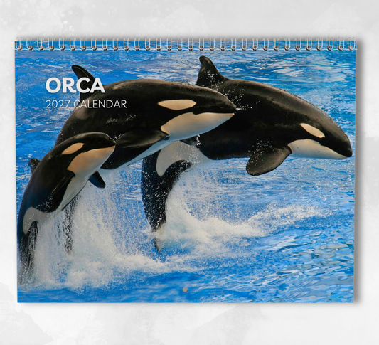 Orca Calendar 2027