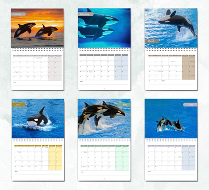 Orca Calendar 2027