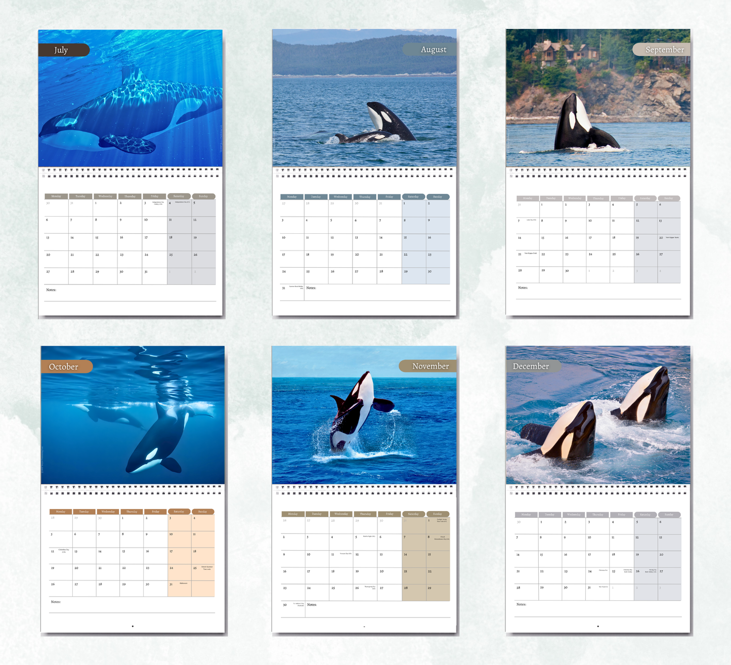 Orca Calendar 2027