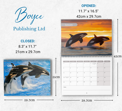 Orca Calendar 2027