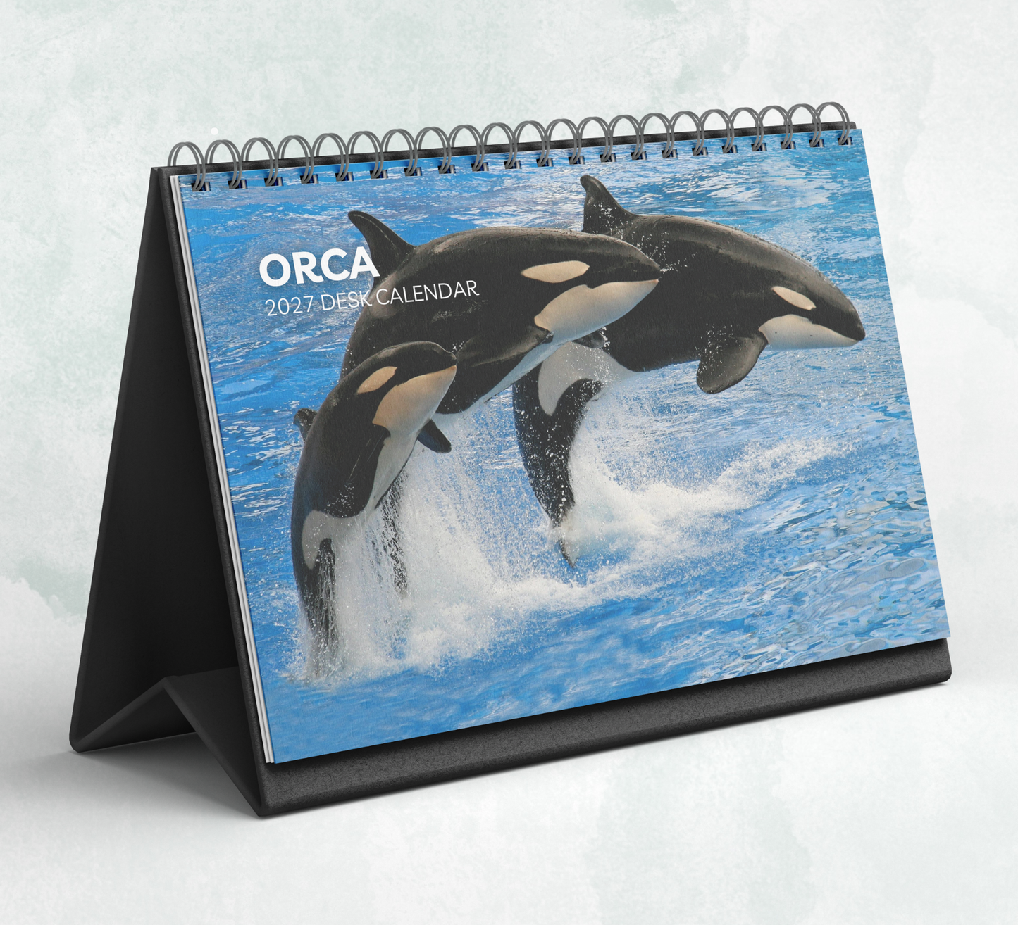 Orca Desk Calendar 2027-2028