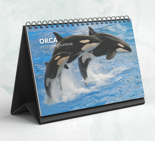 Orca Desk Calendar 2027-2028