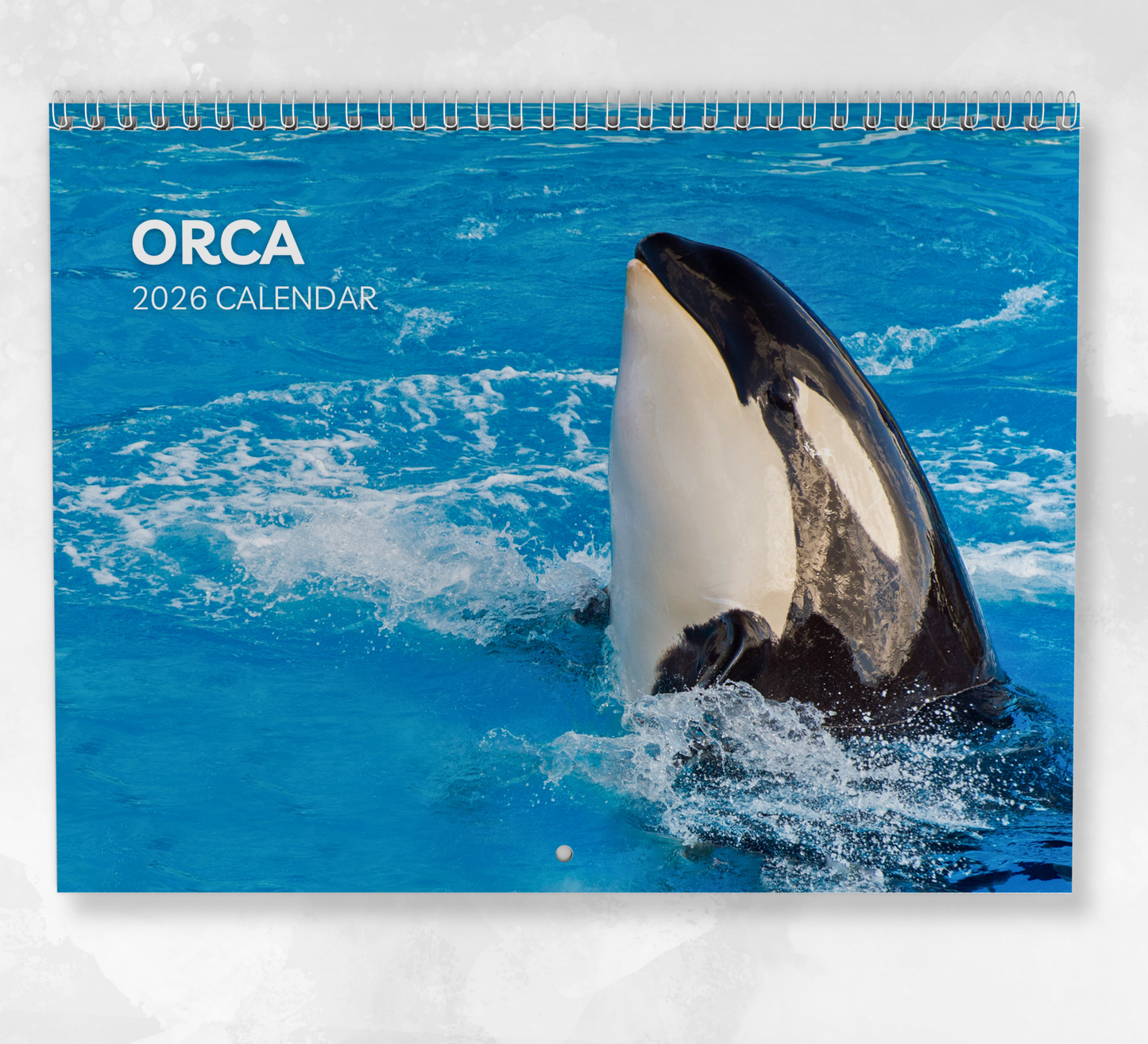 Orca Calendar 2026