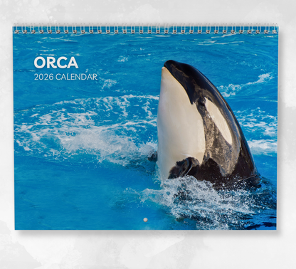 Orca Calendar 2026