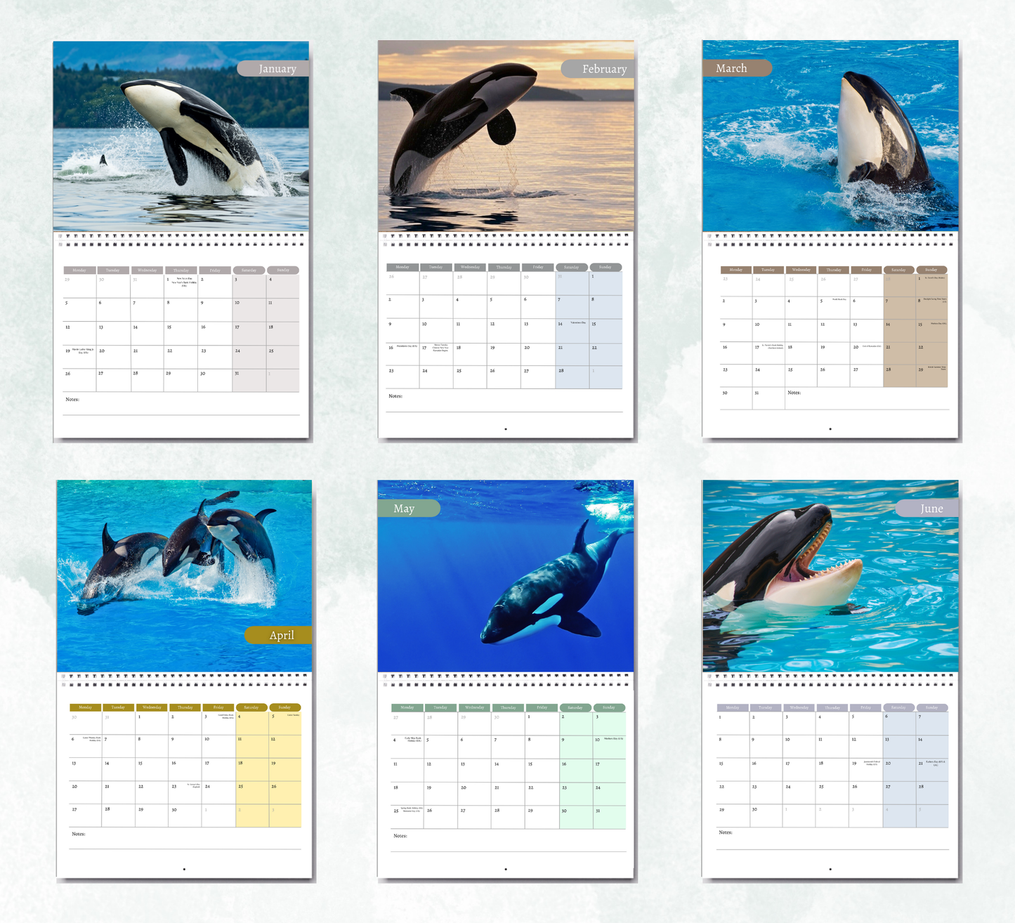 Orca Calendar 2026