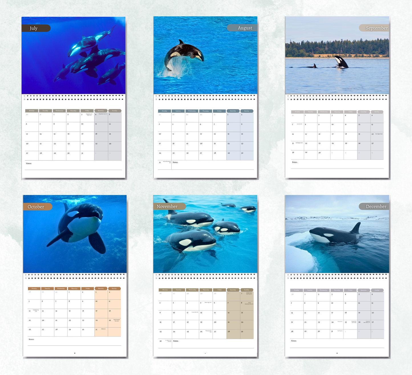 Orca Calendar 2026