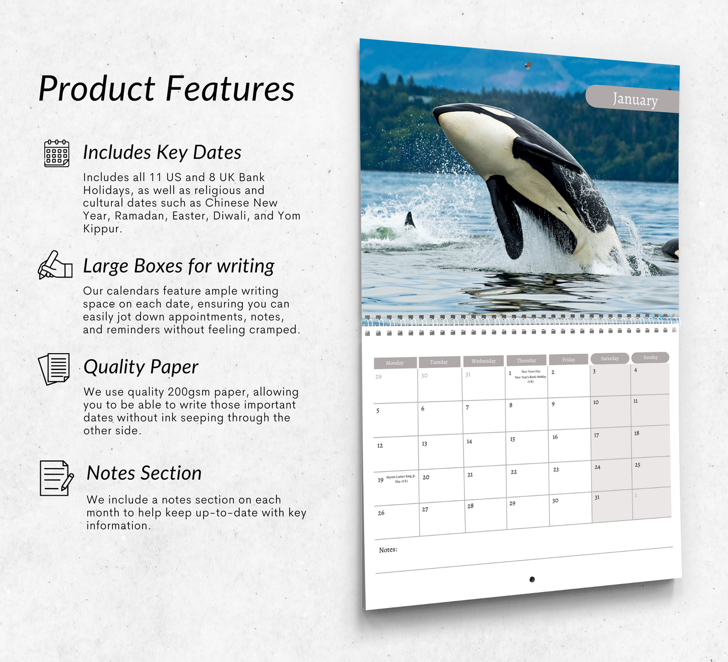 Orca Calendar 2026