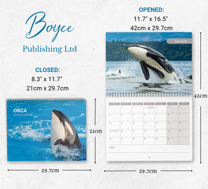 Orca Calendar 2026