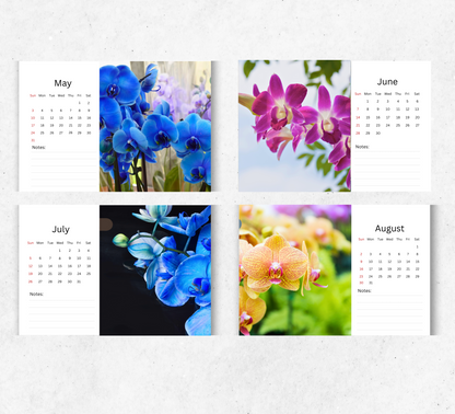 Orchids Desk Calendar 2026-2027
