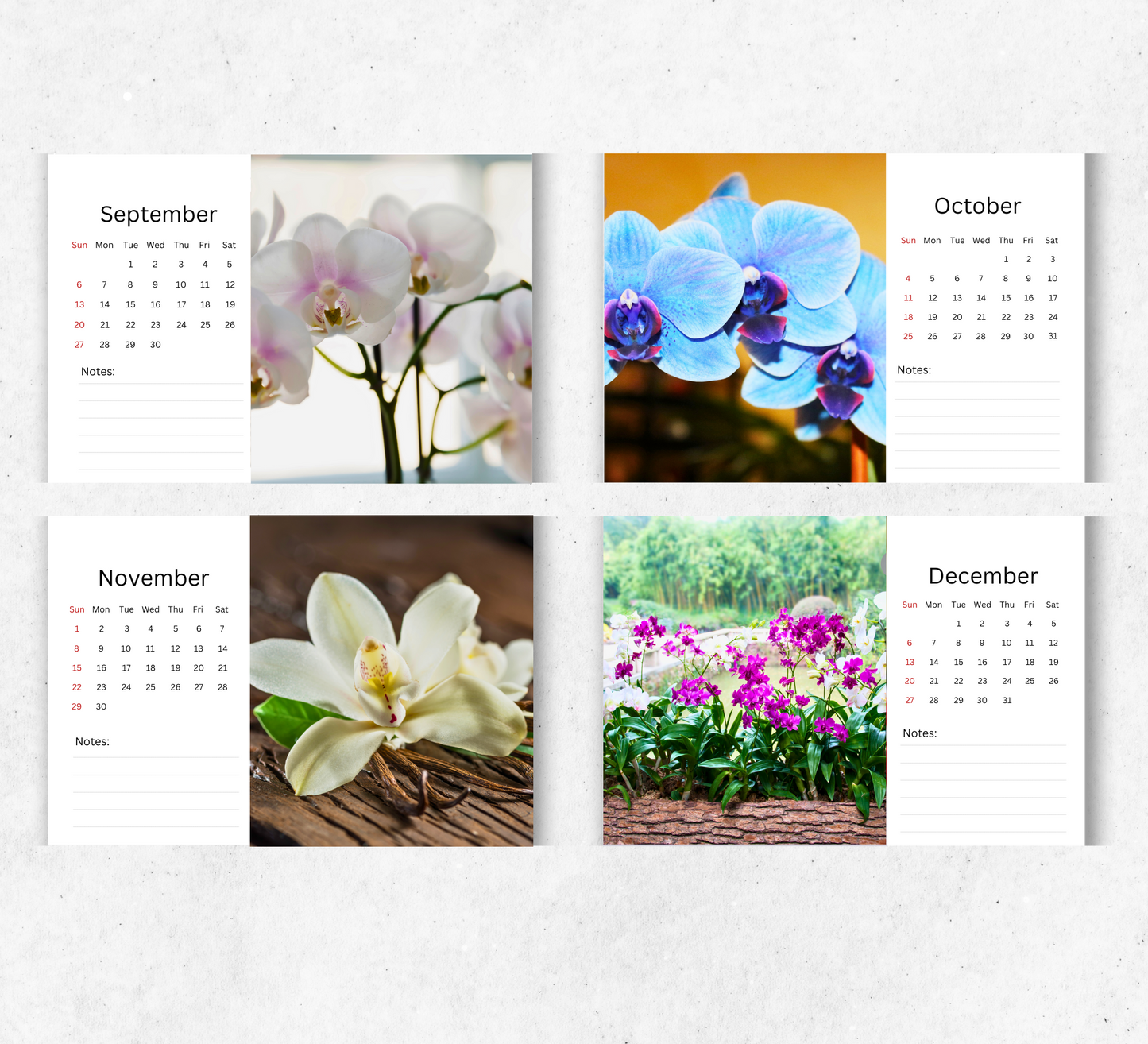 Orchids Desk Calendar 2026-2027