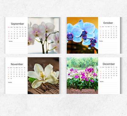 Orchids Desk Calendar 2026-2027