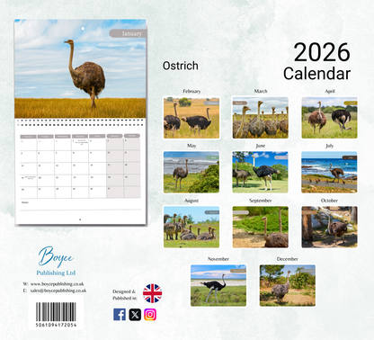 Ostrich Calendar 2026