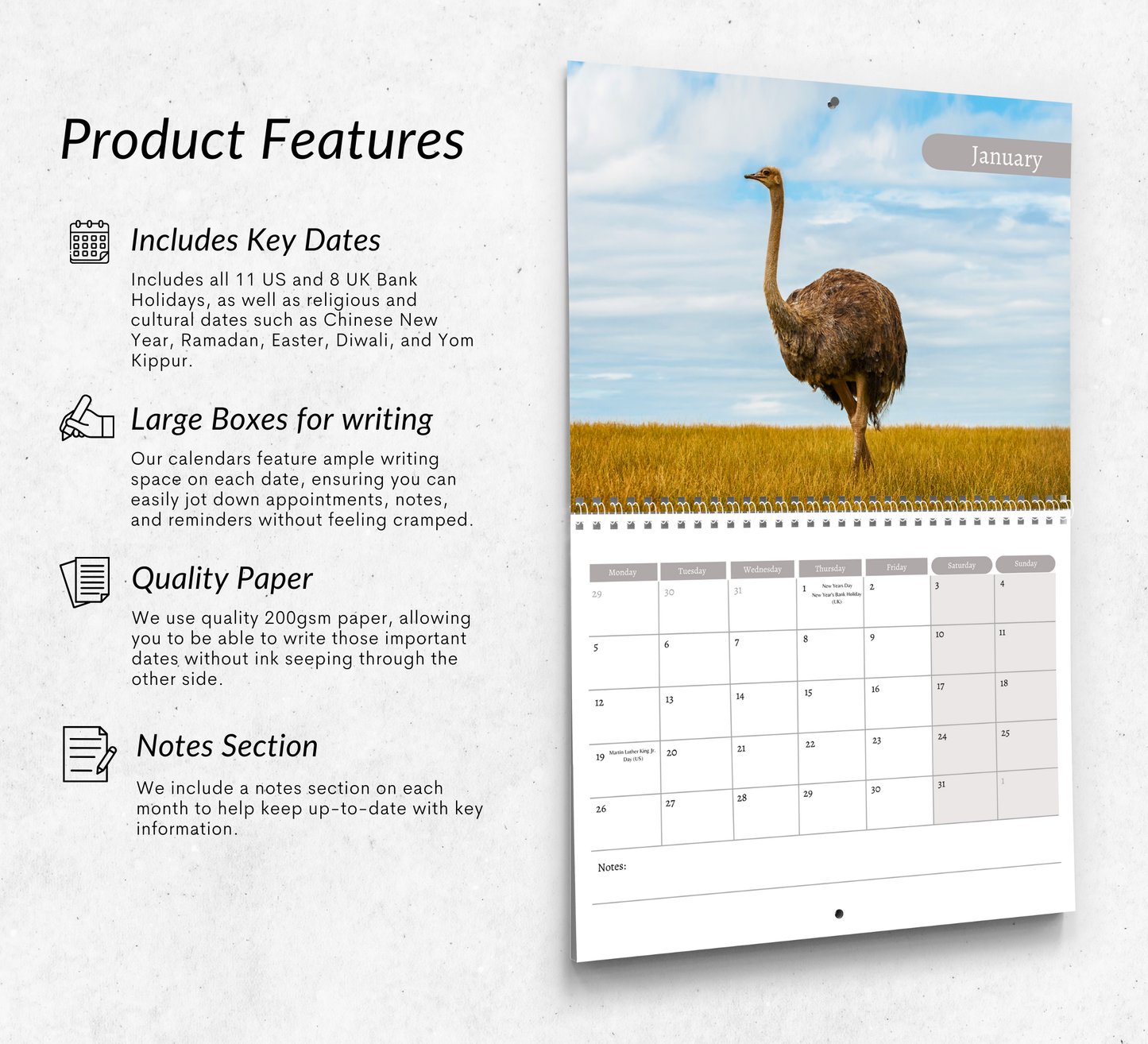 Ostrich Calendar 2026