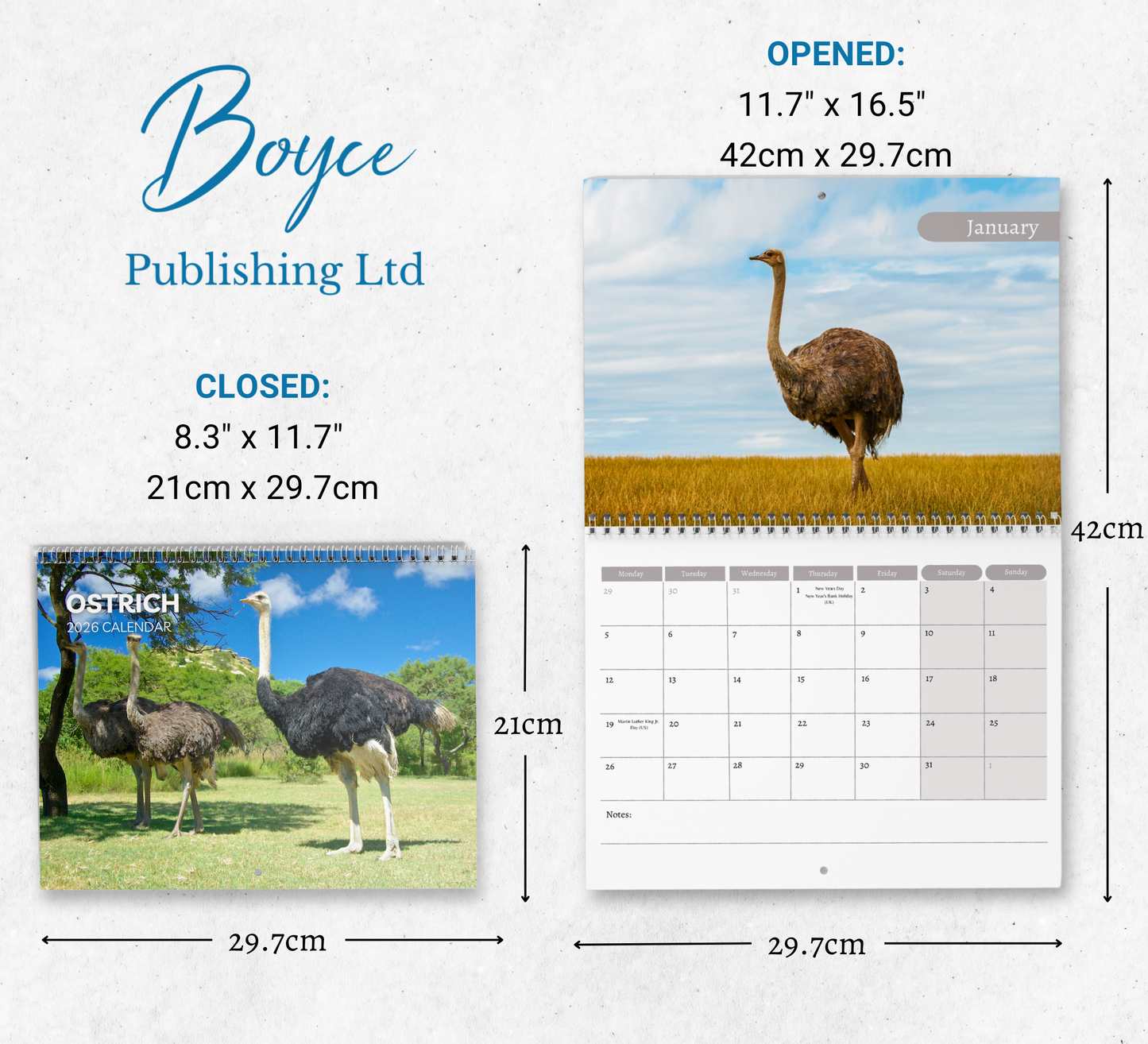 Ostrich Calendar 2026