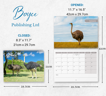 Ostrich Calendar 2026
