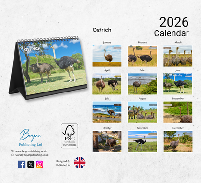 Ostrich Desk Calendar 2026-2027