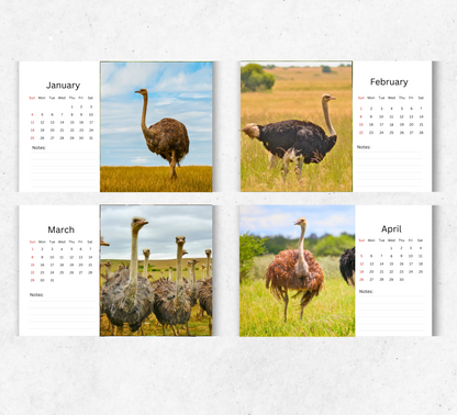 Ostrich Desk Calendar 2026-2027