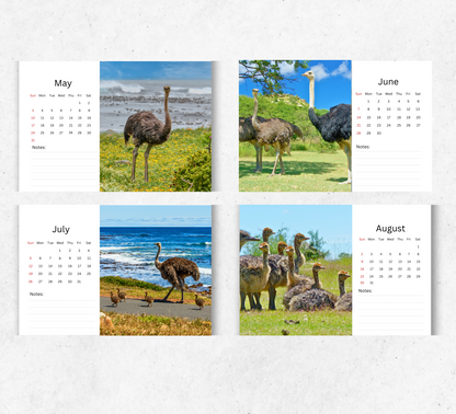Ostrich Desk Calendar 2026-2027