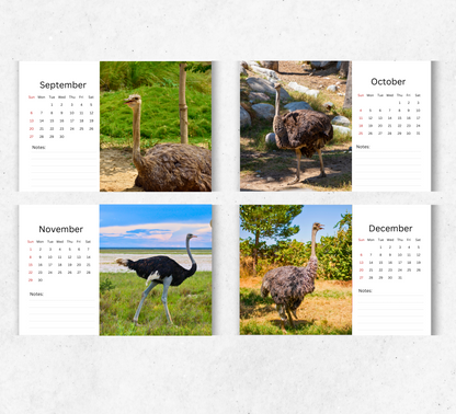 Ostrich Desk Calendar 2026-2027