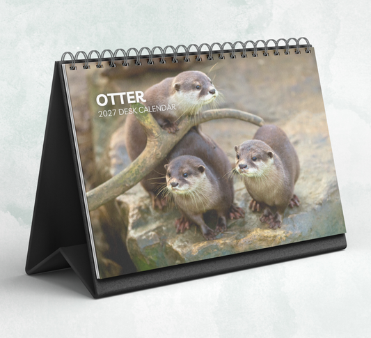 Otter Desk Calendar 2027-2028