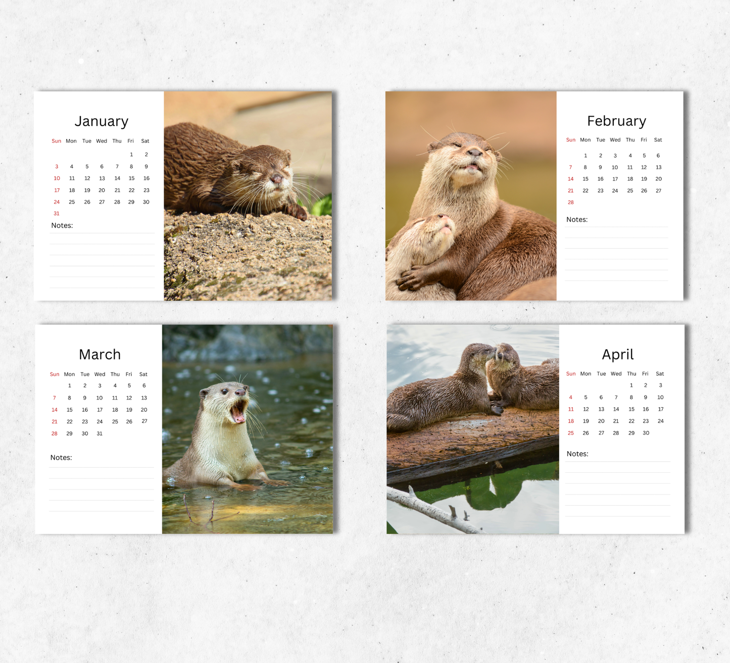 Otter Desk Calendar 2027-2028
