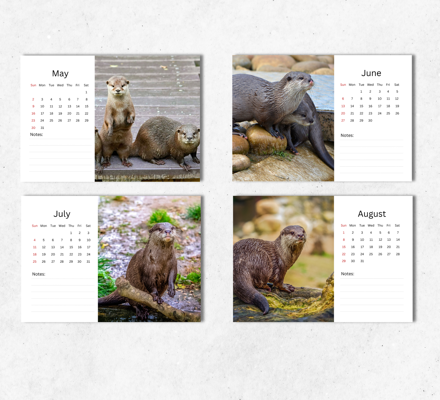 Otter Desk Calendar 2027-2028