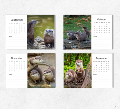 Otter Desk Calendar 2027-2028