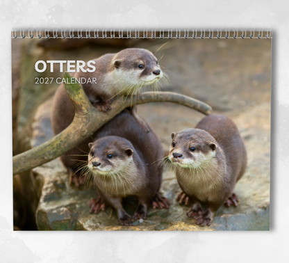 Otter Calendar 2027