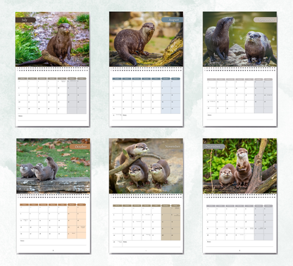 Otter Calendar 2027