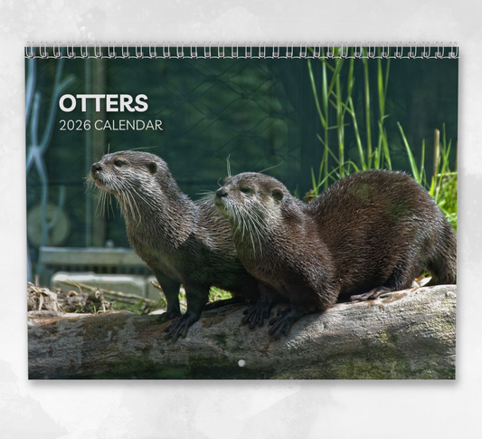 Otter Calendar 2026