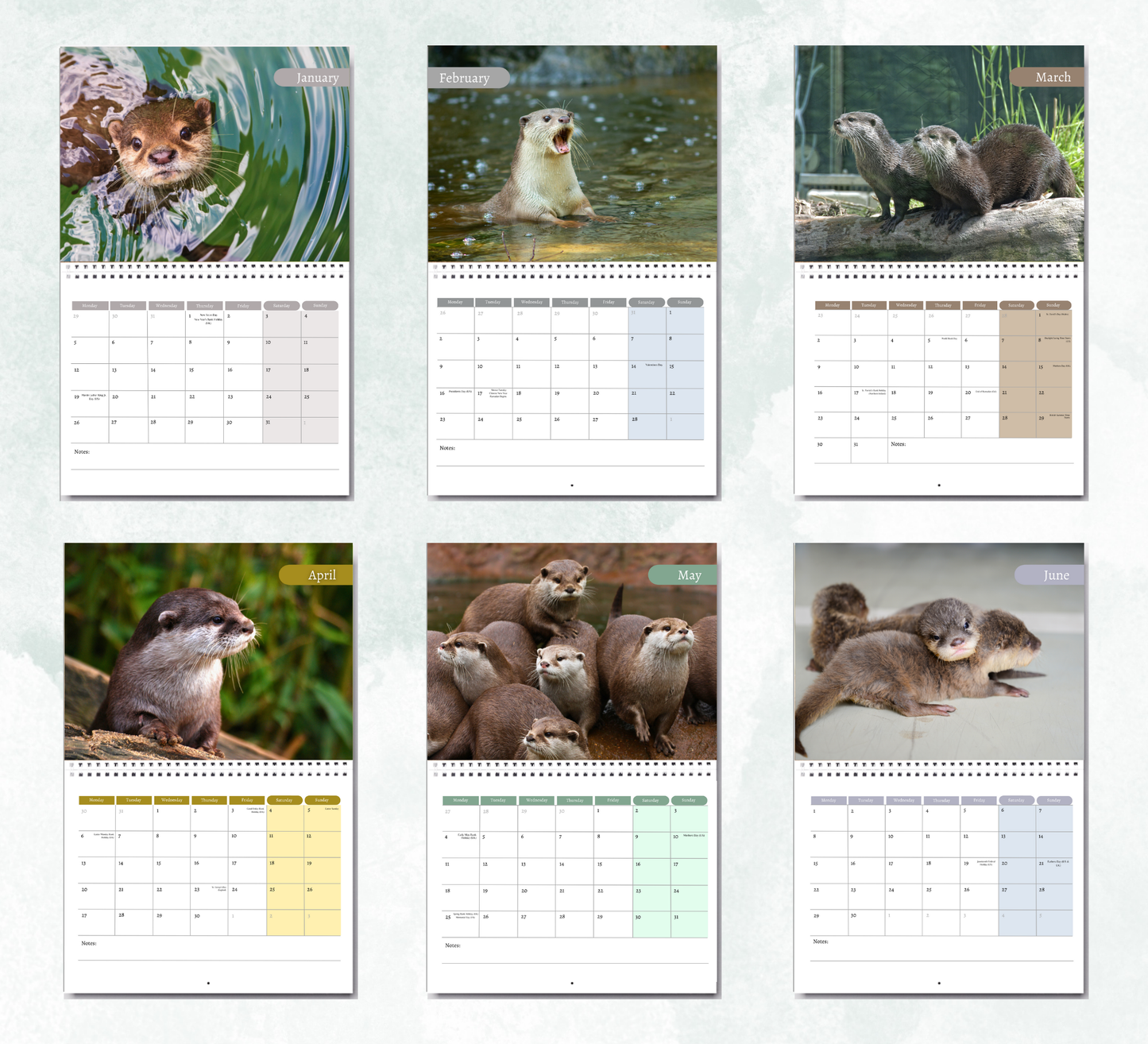 Otter Calendar 2026